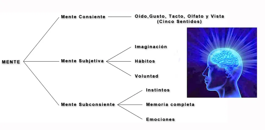 Organización de la mente para la hipnosis